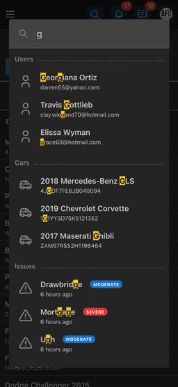 Global Search Mobile View